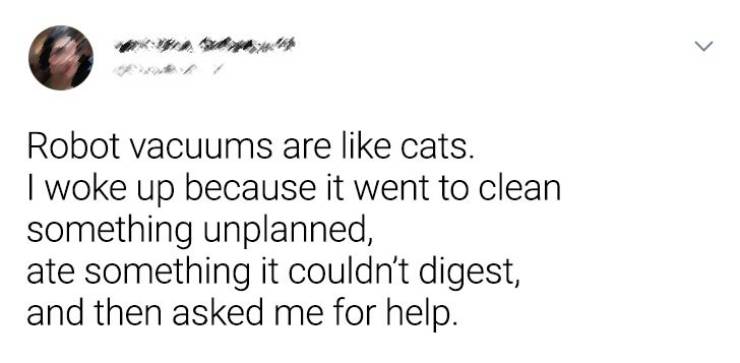Cats Aren’t Always Innocent…