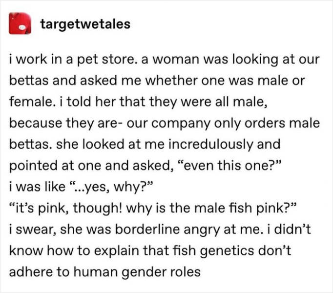 People Share Stories About Extreme Thing Gendering