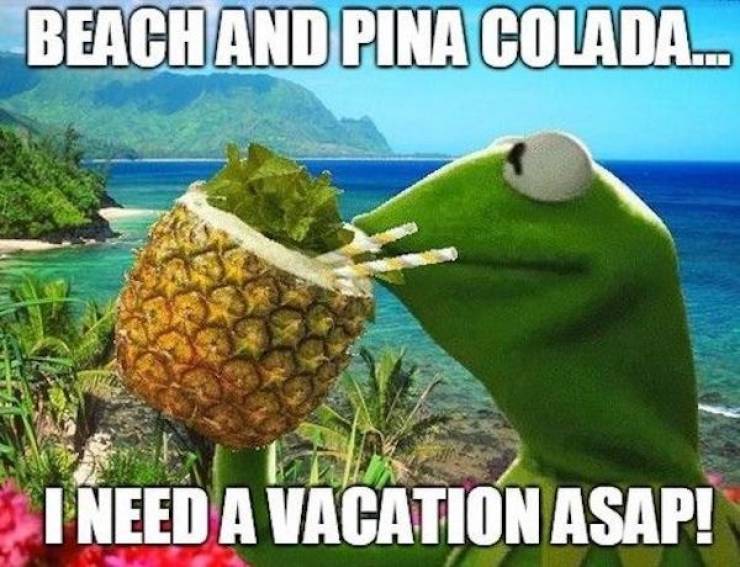 Let’s Go On These Vacation Memes!