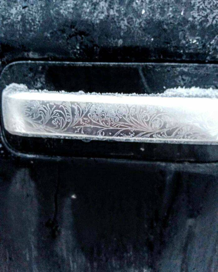 “Mildly Interesting” Things Created By Nature