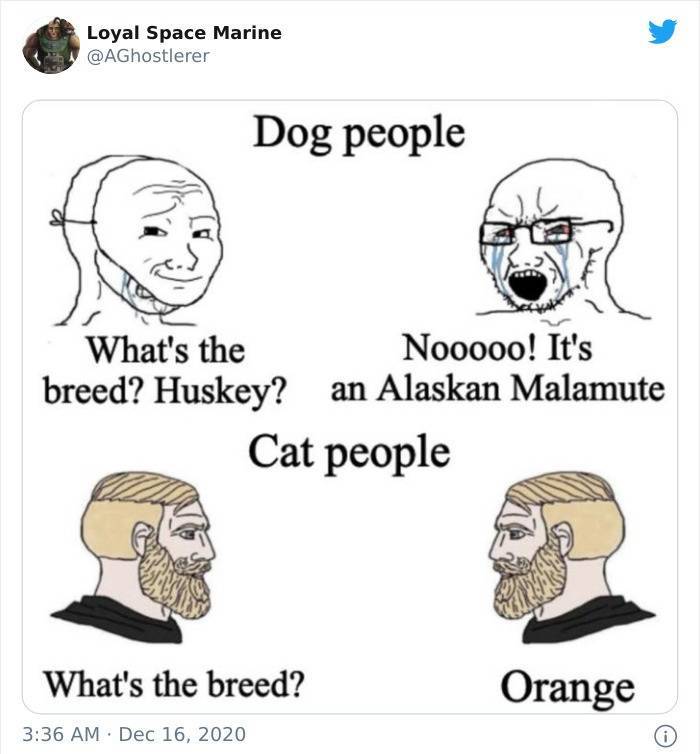 Cat People Versus Dog People