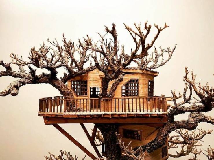 Tiny Treehouses Built Within Bonsai Trees By The Late Dave Creek