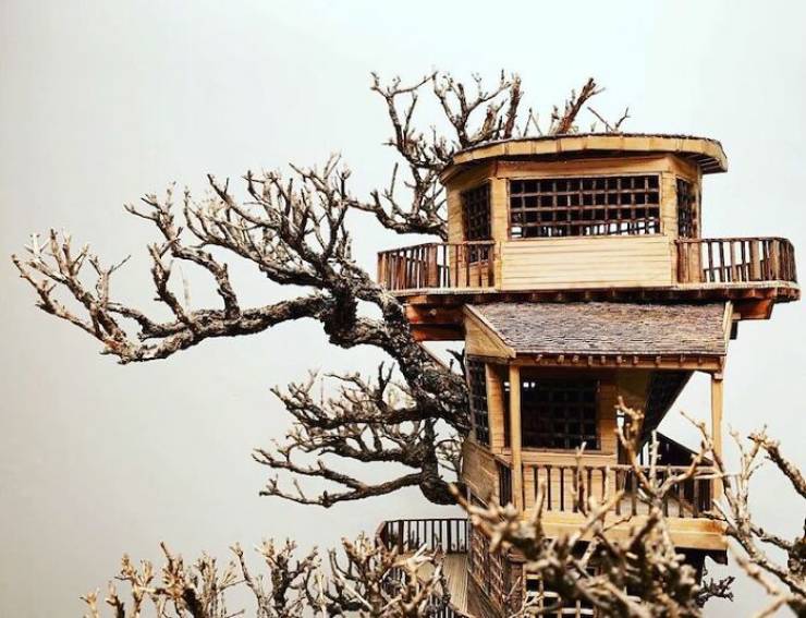 Tiny Treehouses Built Within Bonsai Trees By The Late Dave Creek