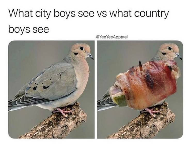 These Country Memes Are A Bit Too Red Around The Neck