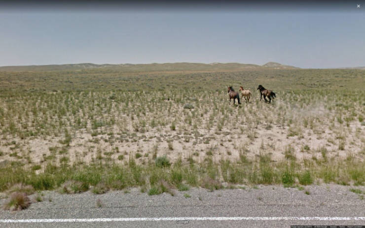 Some Unexpected Shots From “Google” Street Views