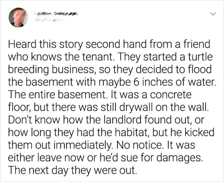 Tenants Who Surprised Their Landlords, But Not In A Pleasant Way…