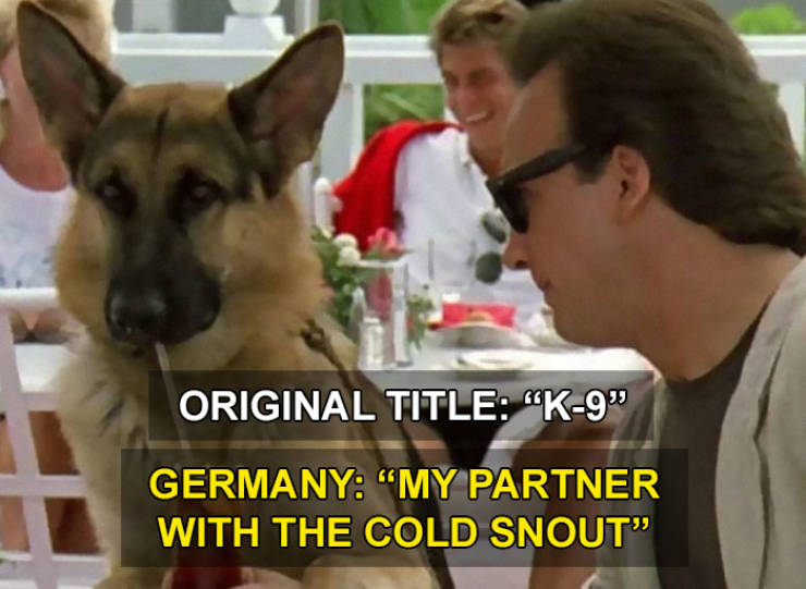 Weird Translations Of Movie Titles In Various Countries
