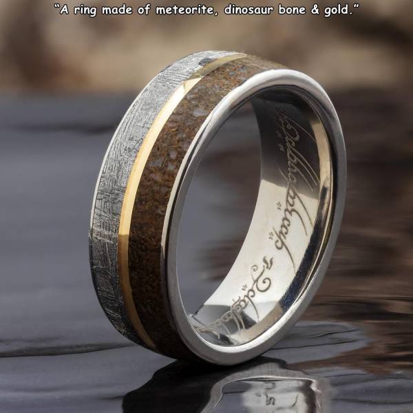 Wedding ring made of meteorite and dinosaur bone materials (as the manufacturer claims).