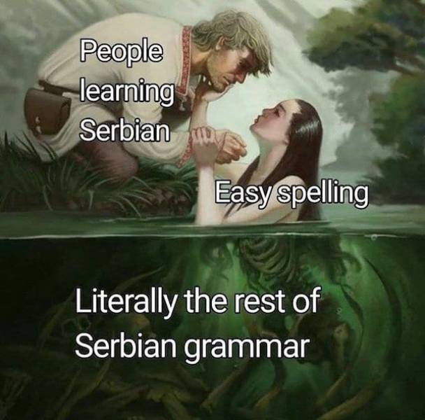Do You Speak These Language Memes?