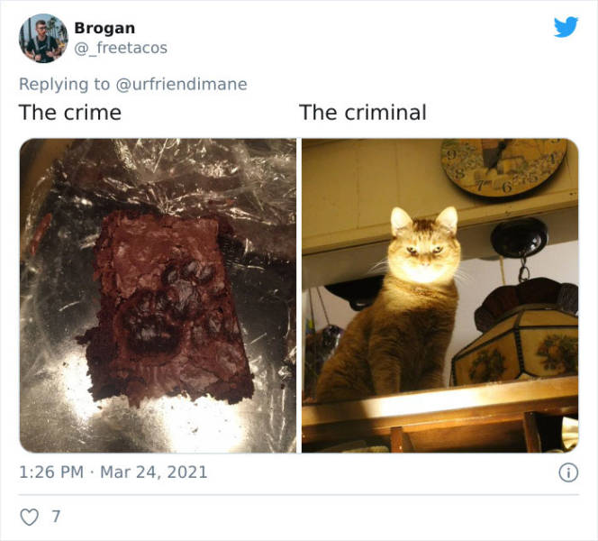 The Crime And The Criminal