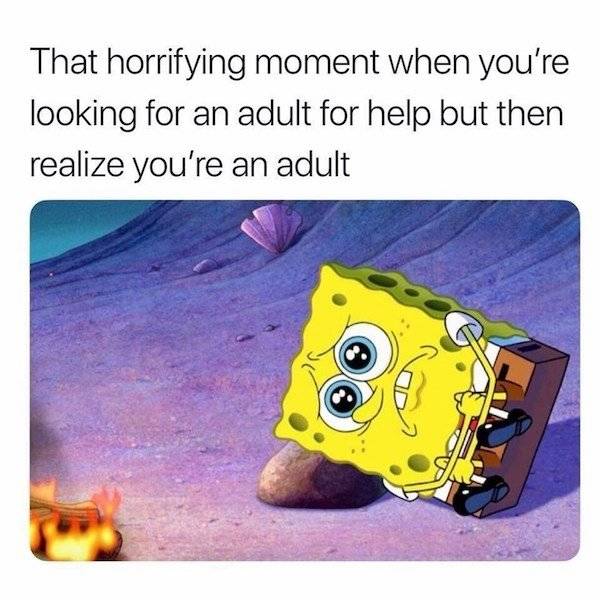 Adulthood Is Hard…