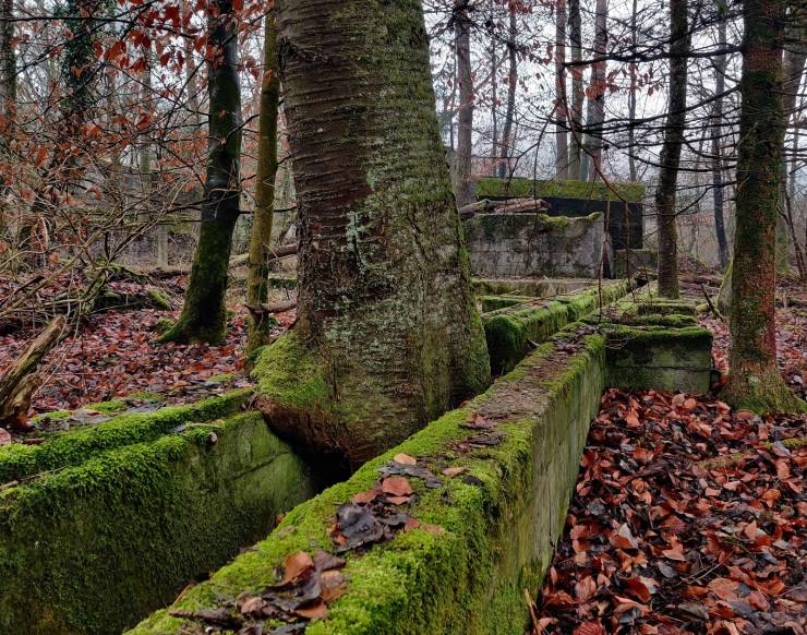 Take A Look At These Captivating Abandoned Places