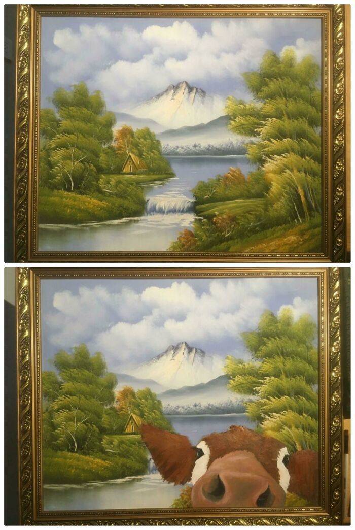 Artists Improve Thrift Store Paintings With Their Own Professional Touch