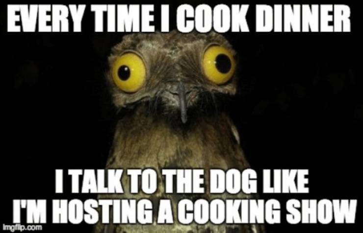 Let’s Cook Up Some Tasty Memes!