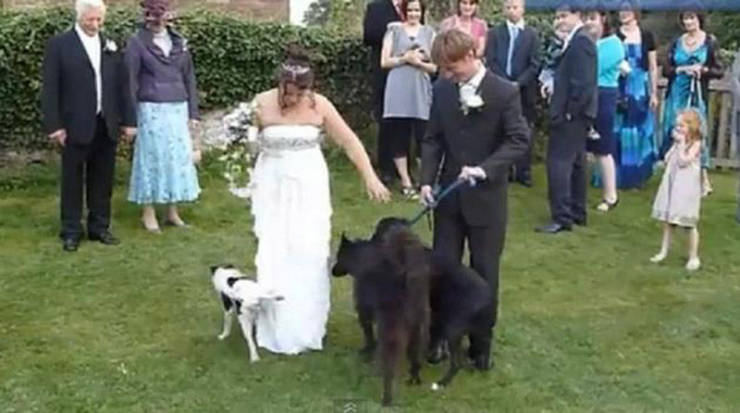 Weddings Can Get Real Awkward…