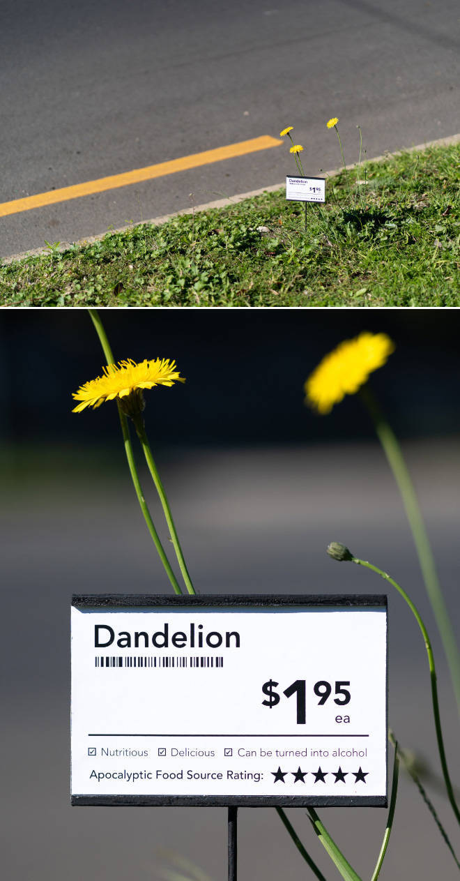 Artist Creates Curious Signs And Leaves Them Around The City