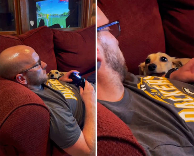 Pets Who REALLY Love Their Humans!