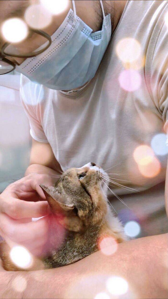 Pets Who REALLY Love Their Humans!