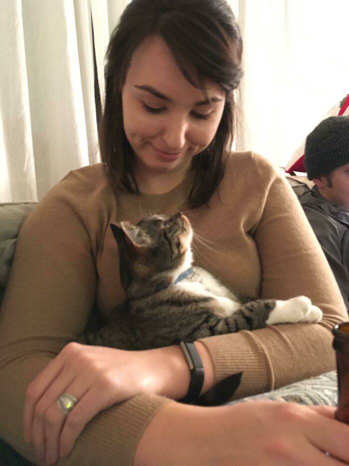 Pets Who REALLY Love Their Humans!