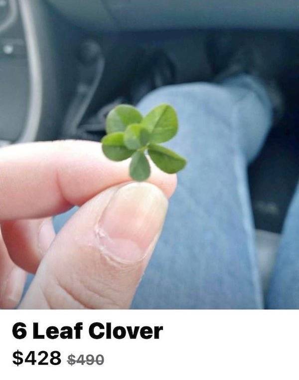 You Can Buy All Sorts Of Weird Things On The Internet…