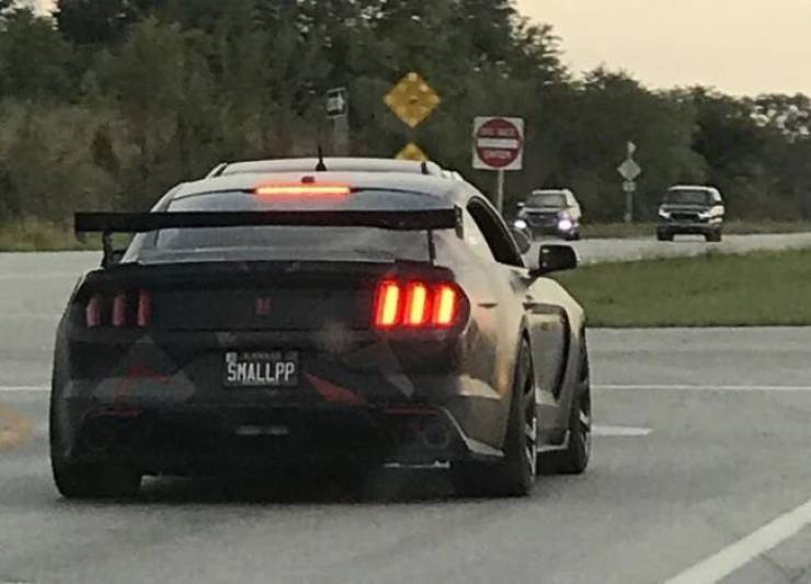 A sports car with a license plate saying "small pp."