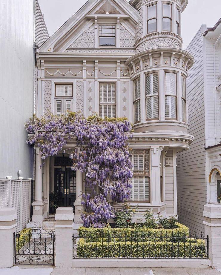 A beautiful beige two-story house with wisteria blooming.