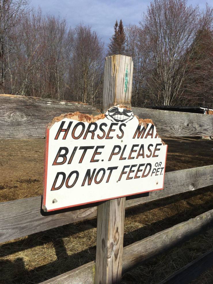A broken sign saying: "Horses may bite. Please  do not feed."