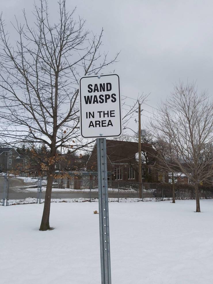 A sign saying "sand wasps in the area" standing in the snow.