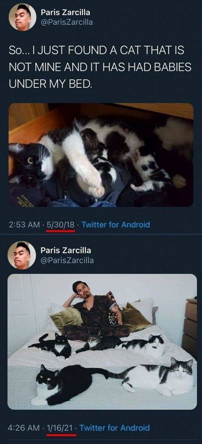 A man tweeting 5.30.18 about somebody else cat with kittens under his bed. The same man with grown-up kittens 1.16.21.