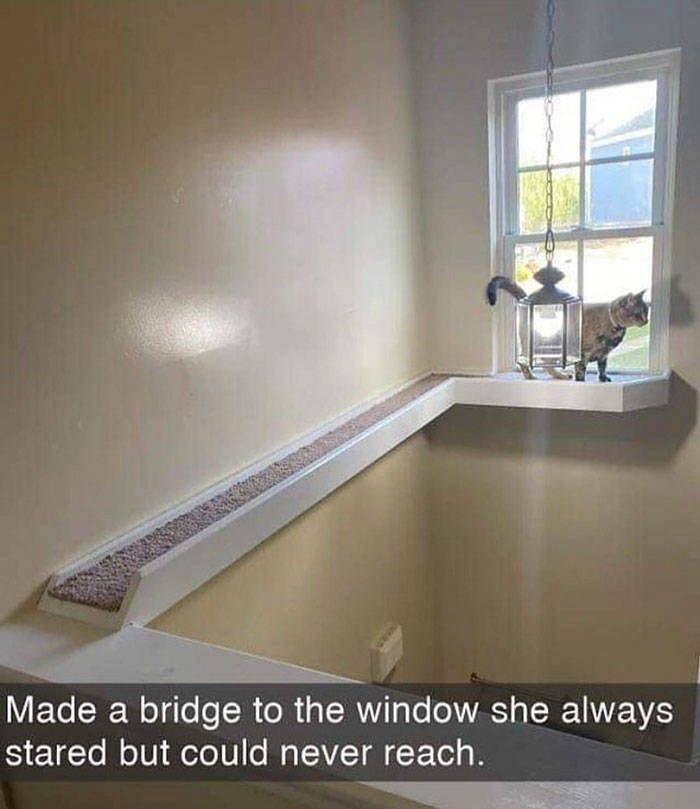 A bridge to the window a cat always wanted to reach but never could.