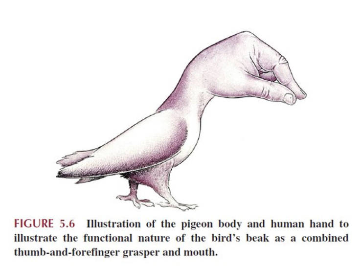 These Strange Science Book Pages Are Actually Real…