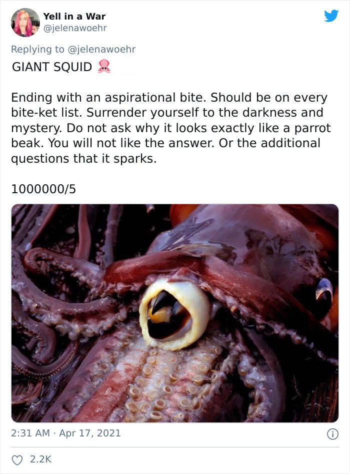 A Guide To Being Bitten By Various Animals…