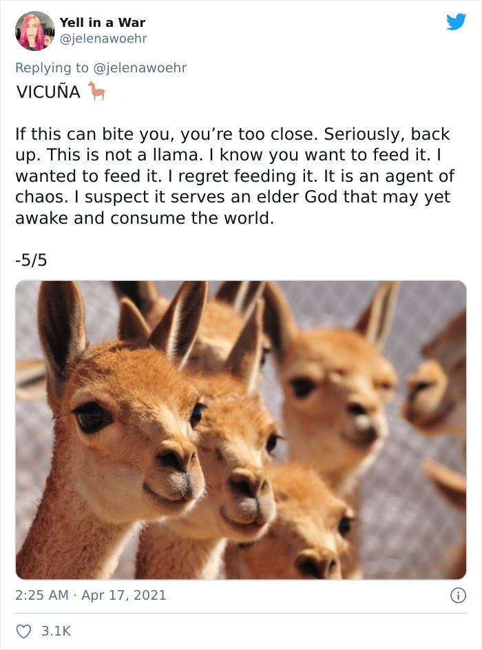 A Guide To Being Bitten By Various Animals…