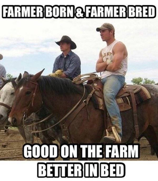 Country Memes, Take Us Home!