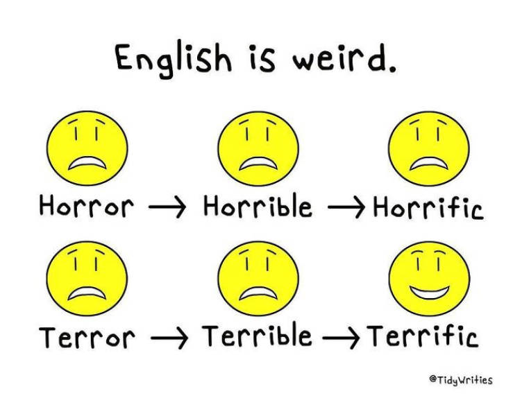 English Language Is A Pain To Learn…