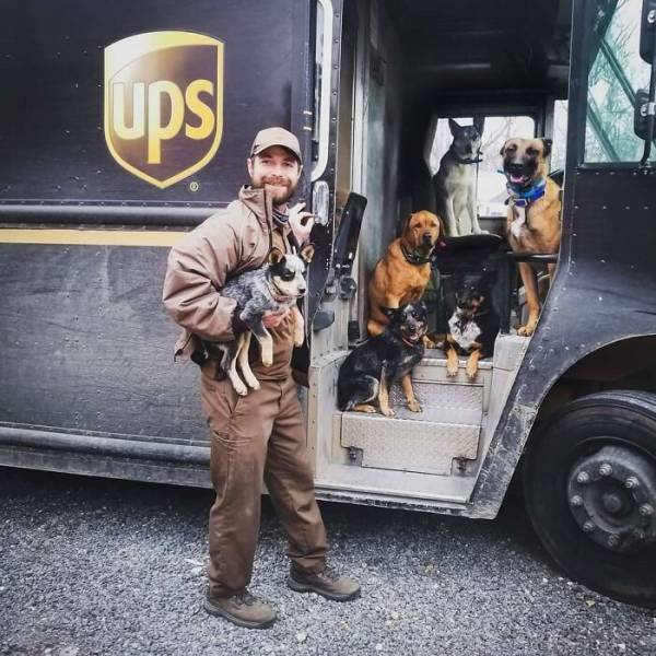 UPS Drivers Love Dogs!