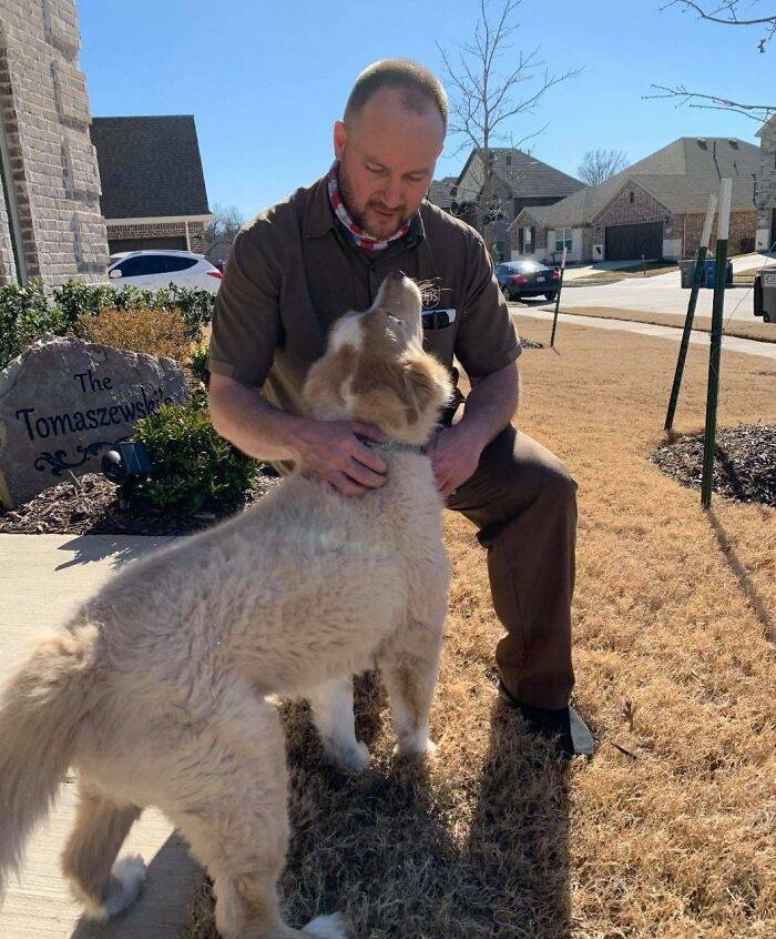 UPS Drivers Love Dogs!