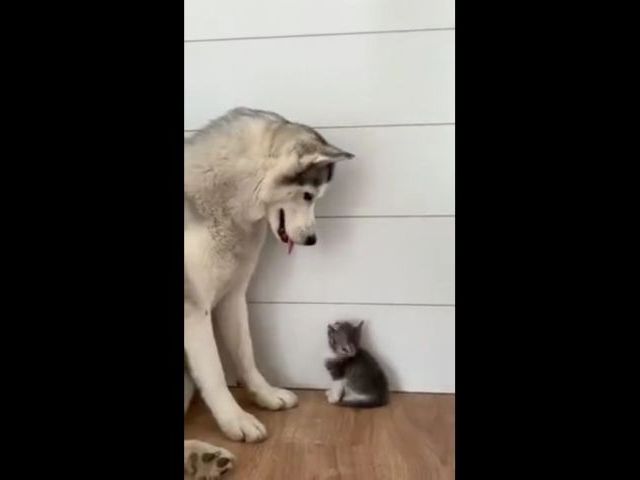 Don’t Be Scared, Little One