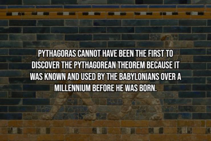 Random Facts Are Getting Even More Interesting!
