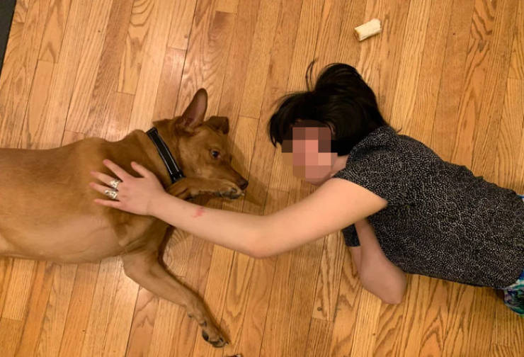 People Share Stories Of How They Have Chosen Their Pet Over Their Partner