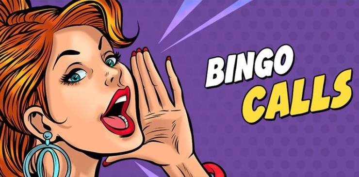 Funny/Rude Bingo Calls!