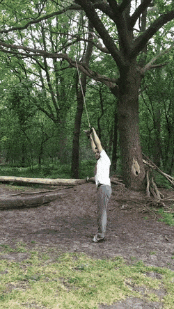 Morning Gifdump Morning Gifdump