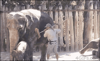Zookeepers And Their Wild Job Secrets