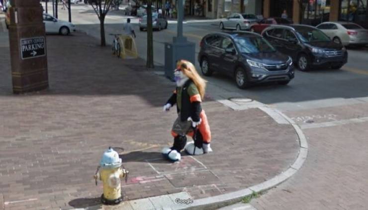 Curious Finds From “Google Street View”