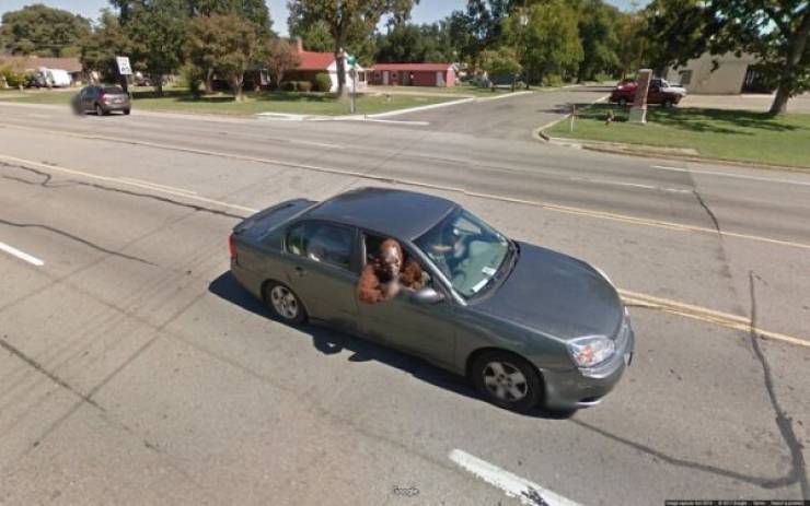 Curious Finds From “Google Street View”