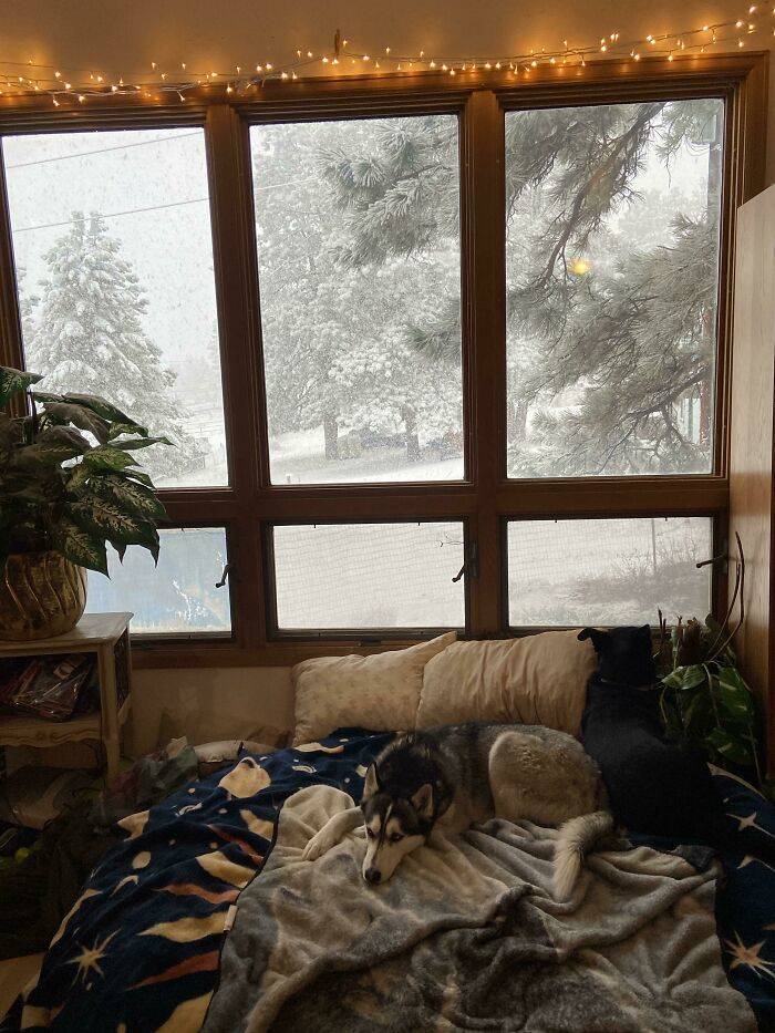 People Share Photos Of Their Extremely Cozy Places, And It Feels Very Nice