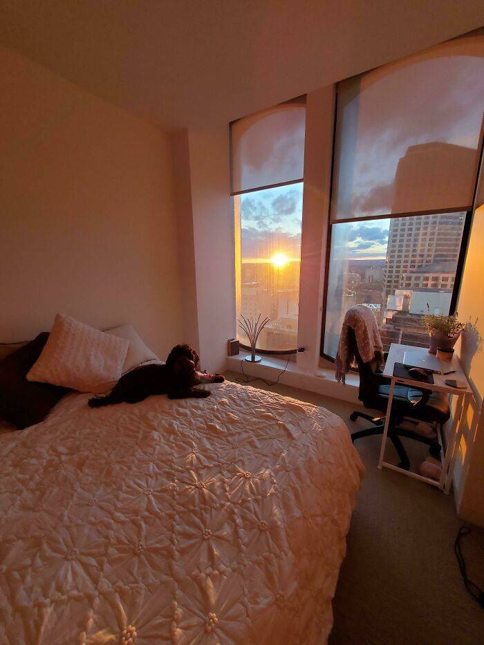 People Share Photos Of Their Extremely Cozy Places, And It Feels Very Nice