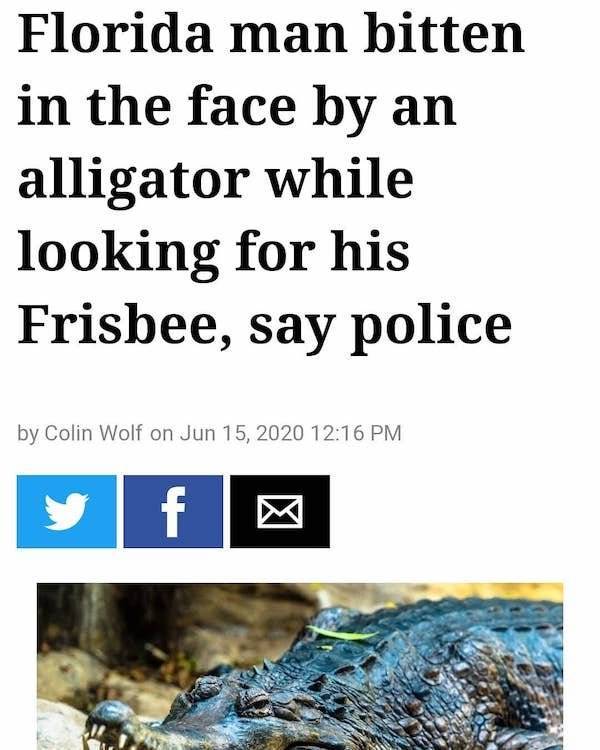 Headlines Aren’t Even The Craziest Thing In Florida…