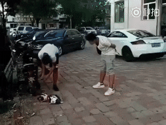 Morning Gifdump