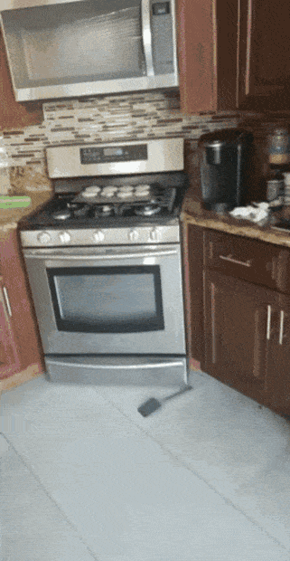 Morning Gifdump